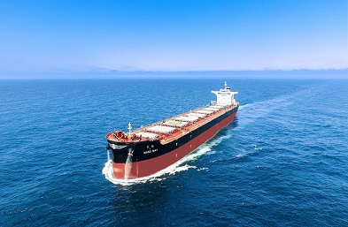 在新的时代背景下，散货船海运将继续为全球经济的发展做出重要贡献