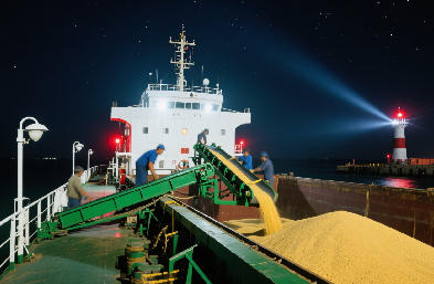 定制化散货船运输方案：精准适配各类货物需求